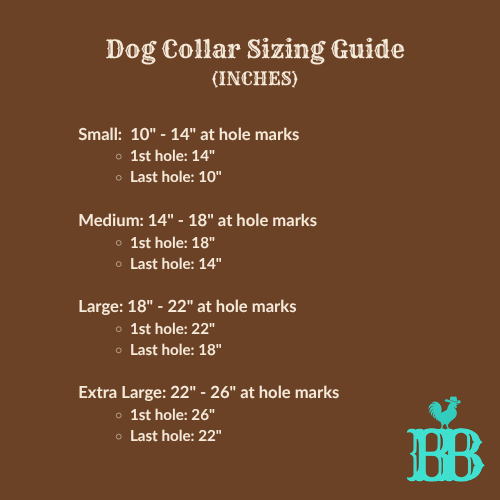 BB Frontier Cowhide Dog Collar | Hand-Tooled Western Leather Collar