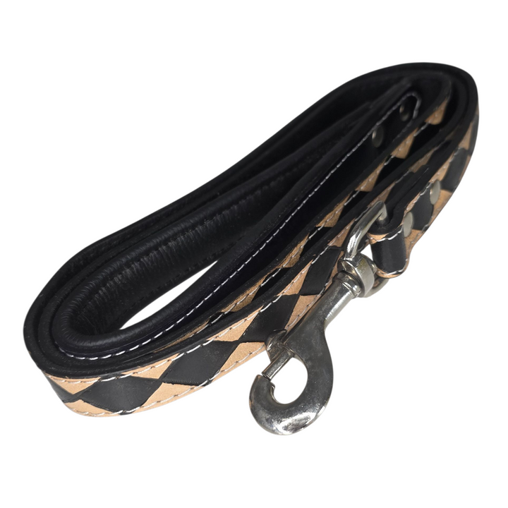 The Diamond Dog Collar + Leash