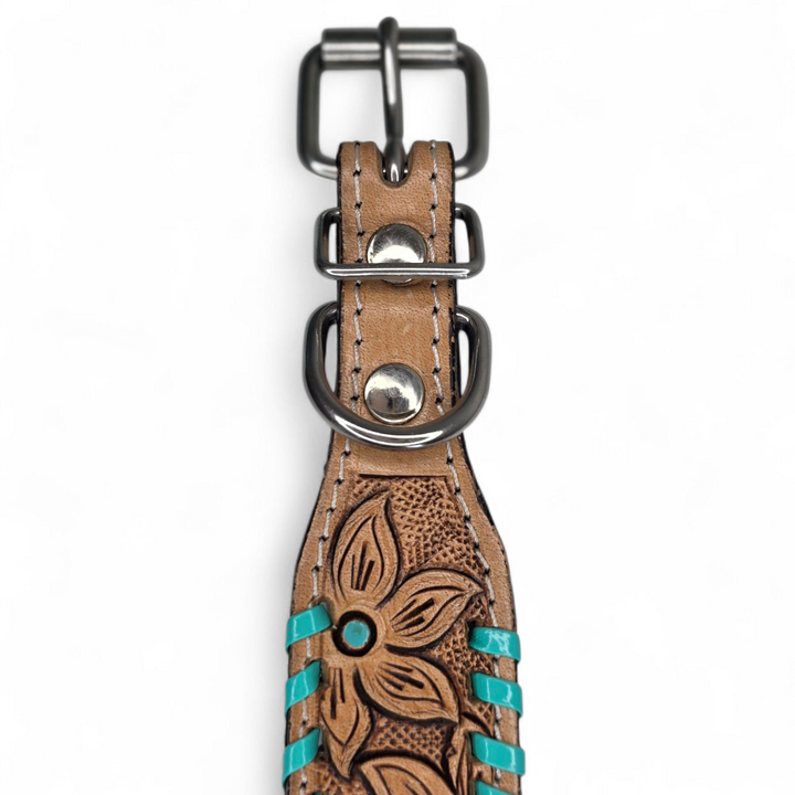 The Desert Bloom Dog Collar + Leash