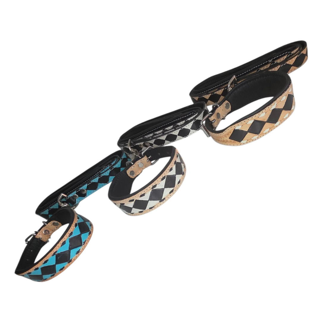 The Diamond Dog Collar + Leash
