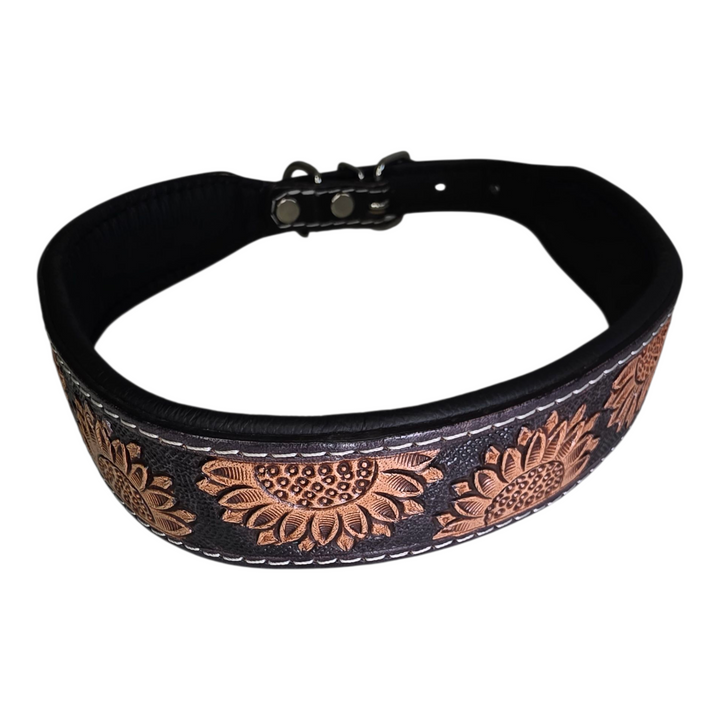 The Midnight Bloom Dog Collar + Leash