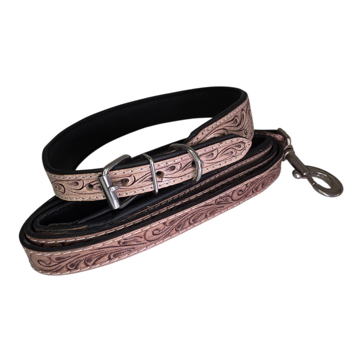 The Sundance Dog Collar + Leash