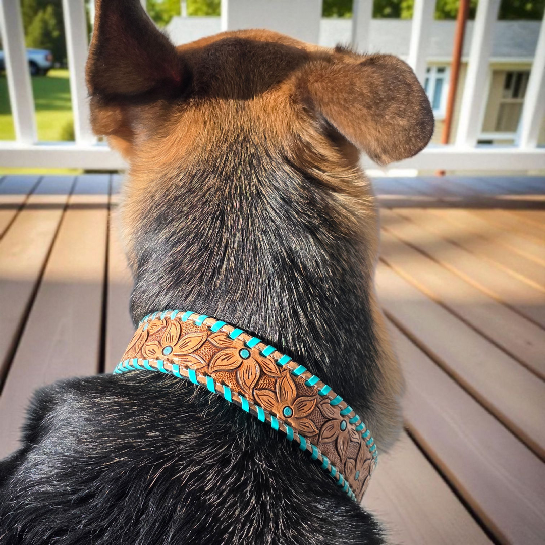 The Desert Bloom Dog Collar + Leash