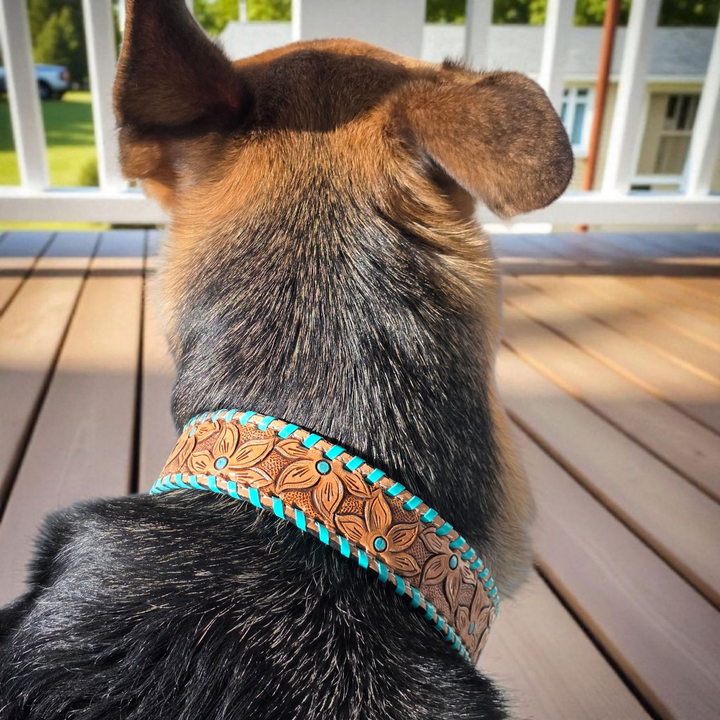 The Desert Bloom Dog Collar + Leash