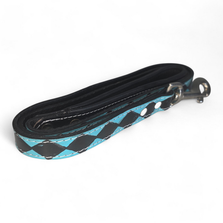 The Diamond Dog Collar + Leash