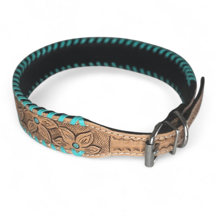 The Desert Bloom Dog Collar + Leash