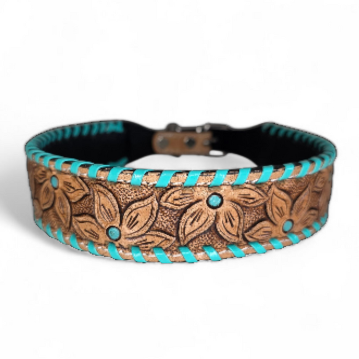 The Desert Bloom Dog Collar + Leash