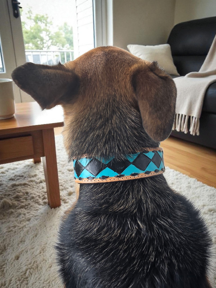 The Diamond Dog Collar + Leash