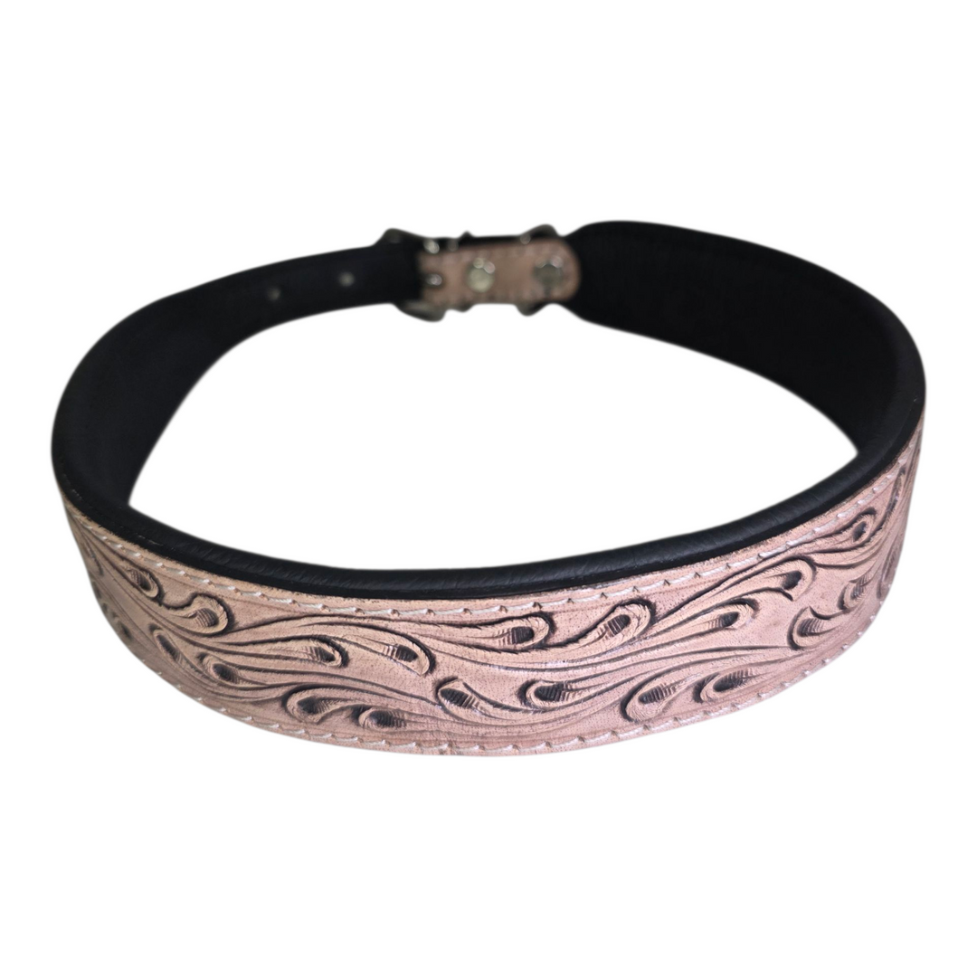 The Sundance Dog Collar + Leash