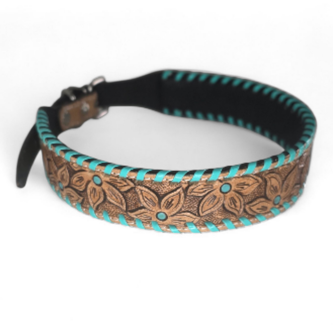 The Desert Bloom Dog Collar + Leash