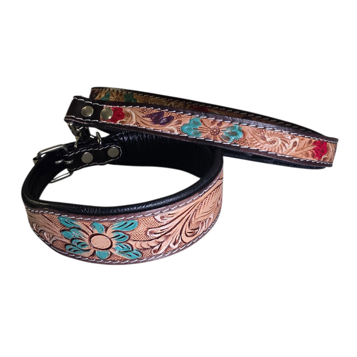 The Painted Mesa Dog Collar + Leash
