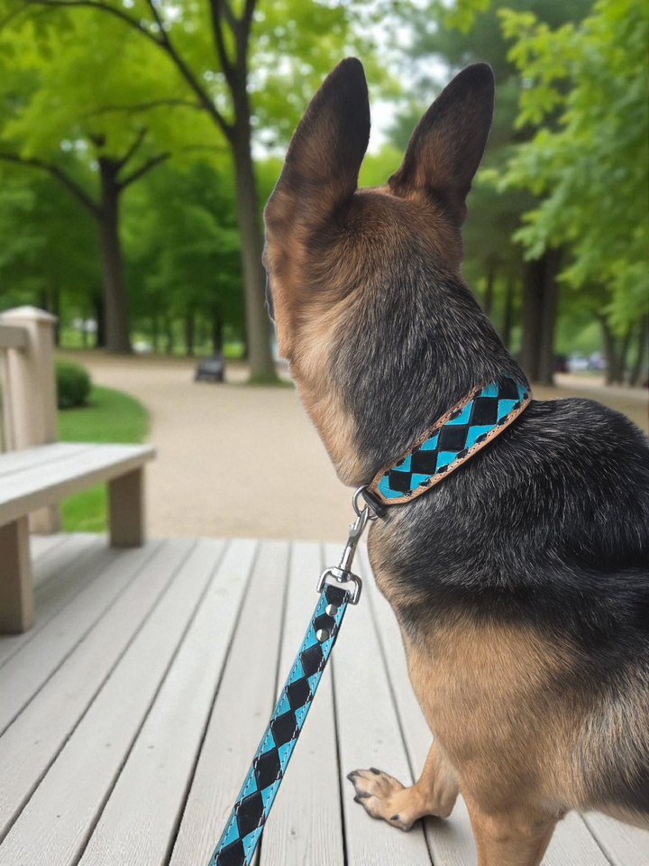 The Diamond Dog Collar + Leash